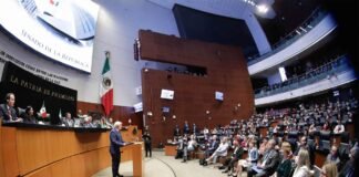 Recibe pleno del Senado a Frank-Walter Steinmeier, presidente de Alemania