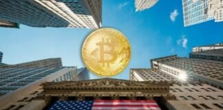 ¿Por qué el Tesoro estadounidense pide mayor regulación de criptoactivos?