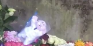 Dejan peluche del Dr. Simi en ofrenda floral de la Reina Isabel II