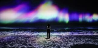 Corea del Sur lleva muestra del metaverso a Festival Cervantino