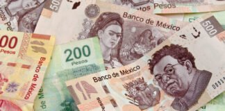 Favorece a seis entidades morenistas el proyecto del PEF 2023