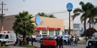 Crimen político, línea de investigación del homicidio de diputada Marín Sánchez: Fiscal