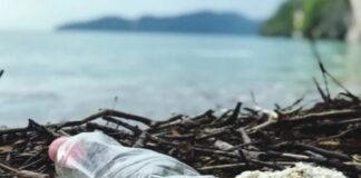 Metas de sostenibilidad de MillerKnoll incluyen reducir uso de plástico