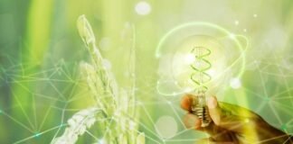 Tecnología verde: ¿Cómo puede la industria reducir la huella de carbono?