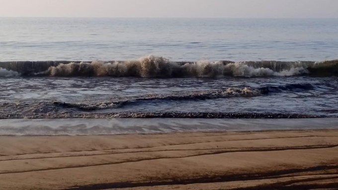 WhatsApp Image 2022-10-28 at 11.33.55 AM