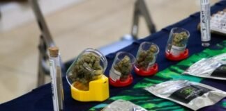 ¿Qué tiendas y dispensadores de cannabis pueden encontrarse en Estados Unidos?
