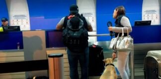 ¿Aumentaron accidentes aéreos en México? Han viajado 78 millones de pasajeros en 2022 Notipress