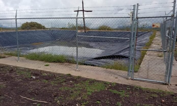 WhatsApp Image 2022-11-08 at 11.00.57 AM