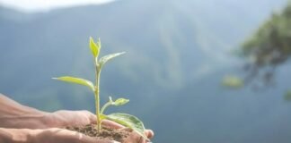 COP 2022: ¿Cuál es la importancia de Venezuela en respuesta al cambio climático?