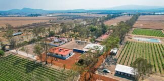 Realizan primer Festival del Vino en Hidalgo