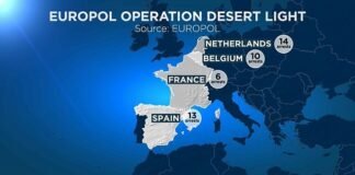 Desmantelan red de tráfico de drogas en Europa