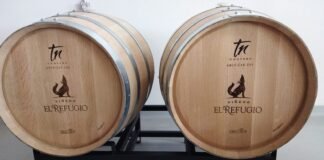 Primer viñedo en Hidalgo, listo para recibir a turistas y visitantes