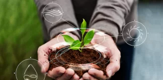 Makesense busca concientizar sobre la crisis ambiental mediante el sense-camp