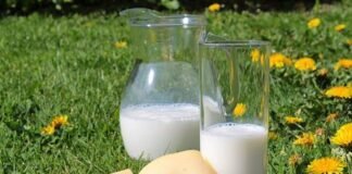 ¿Intolerancia a la lactosa? Disfrutar sin miedo es posible