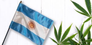 Ya es posible transportar cannabis en territorio argentino Argentina Marihuana