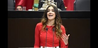 Busca diputada quitar trabas para que jóvenes ingresen al mercado laboral Diputada Priista