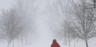 Sigue aumentando el número de víctimas en Estados Unidos