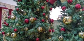 En México 62% de los hogares tendrán árboles de Navidad artificiales