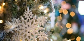 Habrá más de 85 actividades artísticas y culturales alusivas a la navidad