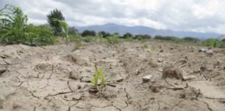 Gran parte del territorio Hidalguense padece diversos grados de sequía