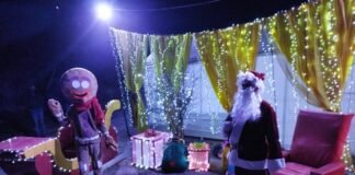 Navidad en el bosque, un recorrido para las familias en esta temporada