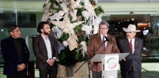 Asumiremos todos la responsabilidad del deber: Monreal senado arbol de navidad