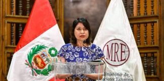 Declaran persona no grata al embajador mexicano en Perú Ana Cecilia Gervasi, canciller peruana.
