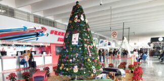 Reporta Terminal de Autobuses más del 50% de incremento en viajes