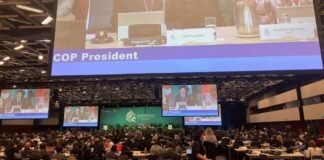 México impulsará Marco Mundial para la Biodiversidad en la COP15 cop15