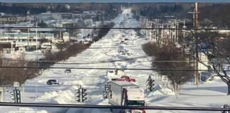 Nevada en Nueva York