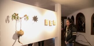 Galería Leo Acosta inaugura exposición Pseudotezontle