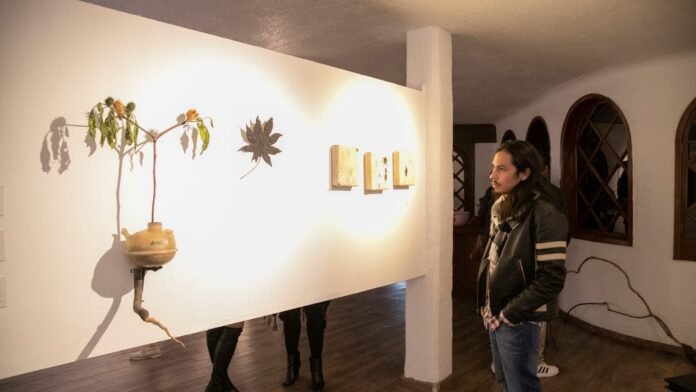 f08f78b8-9037-44eb-840f-8a603151ba7c