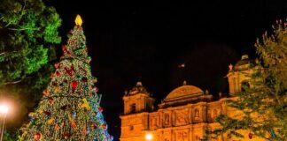 Derrama de 600 mil MDP por fiestas decembrinas: Concanaco Servytur México