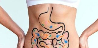Probióticos protegerán la microbiota intestinal estas fiestas decembrinas