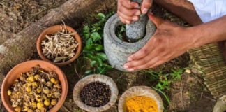 Medicina tradicional y herbolaria ya no está abandonada: López-Gatell medicina tradicional