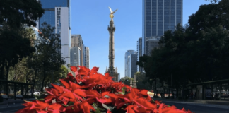 La Nochebuena abraza a la CDMX