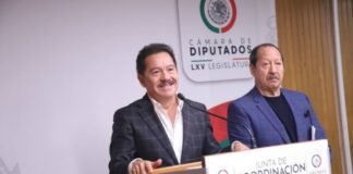 Anuncian suspensión de selección de consejeros del INE. Cámara de diputados 2