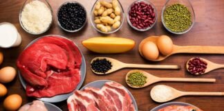 La proteína animal tendrá menos impacto al Medio Ambiente La proteína animal tendrá menos impacto al Medio Ambiente