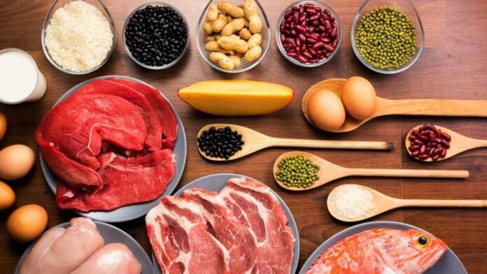 La proteína animal tendrá menos impacto al Medio Ambiente La proteína animal tendrá menos impacto al Medio Ambiente