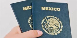 Propone Senado que Pasaporte sea gratuito Pasaporte