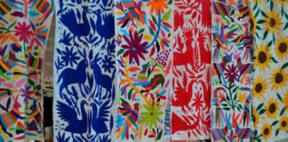 Realizarán padrón de grupos vulnerables en Hidalgo Desarrollo Económico