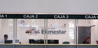 Banco del Bienestar es uno de 3 bancos más grandes de México según la CNBV Banco del Bienestar