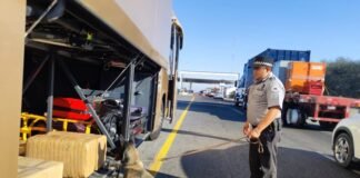 Narcóticos y vapeadores asegura la Guardia Nacional