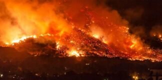 Incendios forestales le cuestan al mundo 50 mil millones de dólares por año