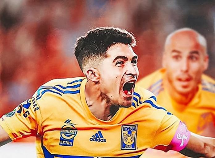 nico-ibañez-696x513