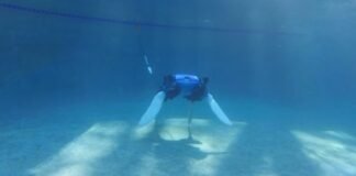 Conoce a la Tortuga Robot que puede proteger al medio ambiente Conoce a la Tortuga Robot que puede proteger al medio ambiente