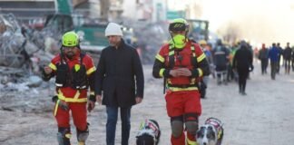 Perros rescatistas mexicanos, de gran ayuda en Turquía y Siria