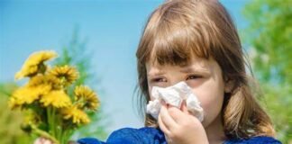Cinco recomendaciones para combatir alergias estacionales