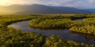 Histórico acuerdo en Yucatán para salvaguardar y ampliar el Amazonas