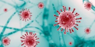 Covid surgió por una fuga en un laboratorio chino, aseguran